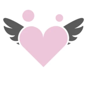 Hannah & Amelia's Angels Foundation logo featuring a pink heart with wings and two small circular figures.